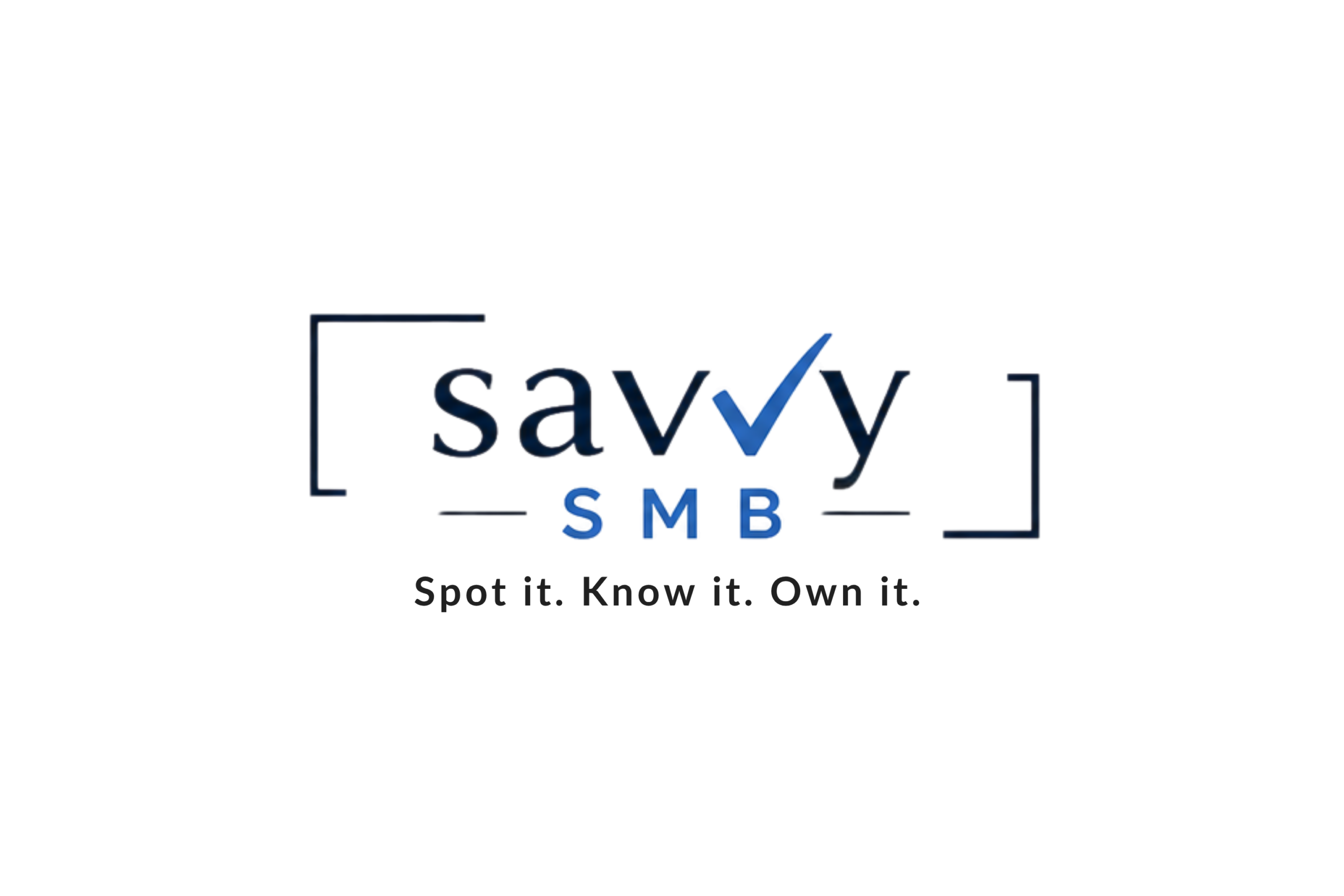 Savvy SMB Consulting logo